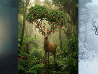 Adobe Firefly интегрирует Gemini 3 Nano Banana