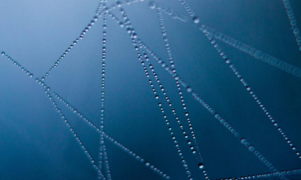 Тим Бернерс-Ли видит будущее Интернета, несмотря на ИИ