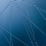 Тим Бернерс-Ли видит будущее Интернета, несмотря на ИИ