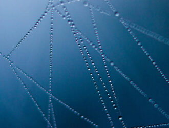 Тим Бернерс-Ли видит будущее Интернета, несмотря на ИИ